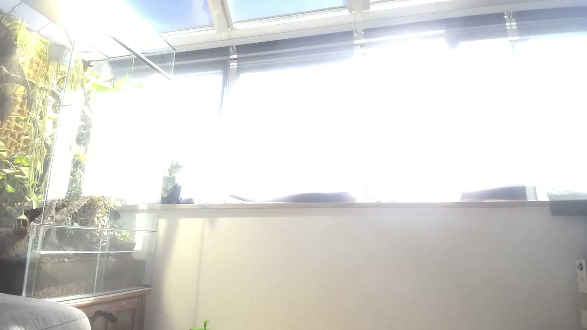 MiaMaxxx video thumbnail