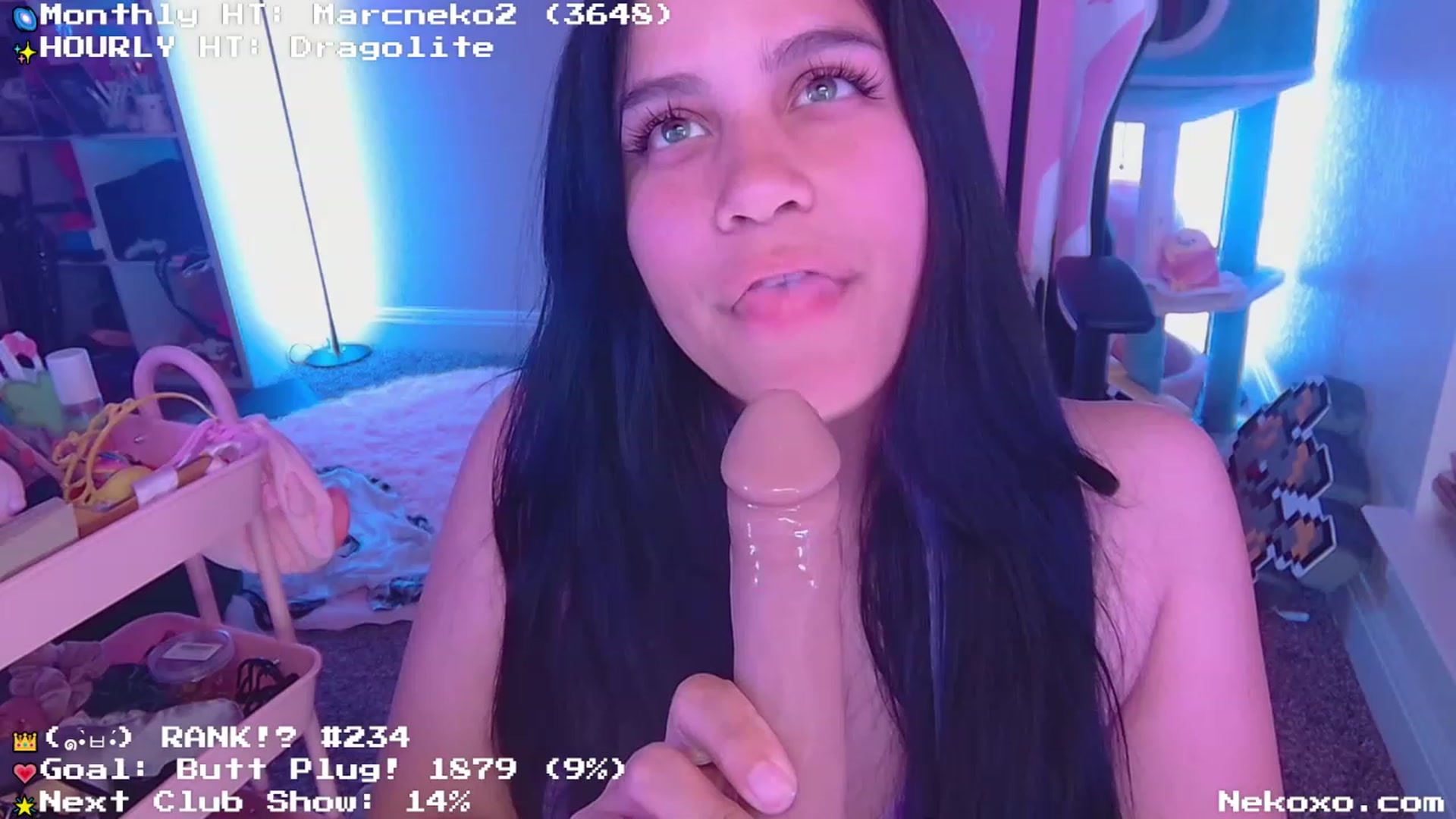 Nekobeanxo video thumbnail