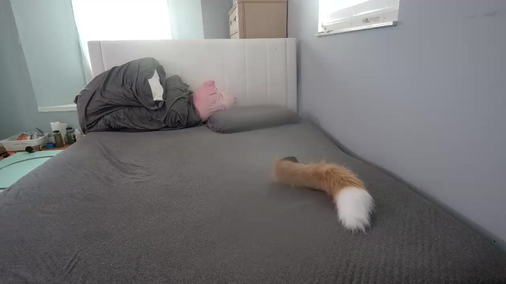 DuckChan0 video thumbnail
