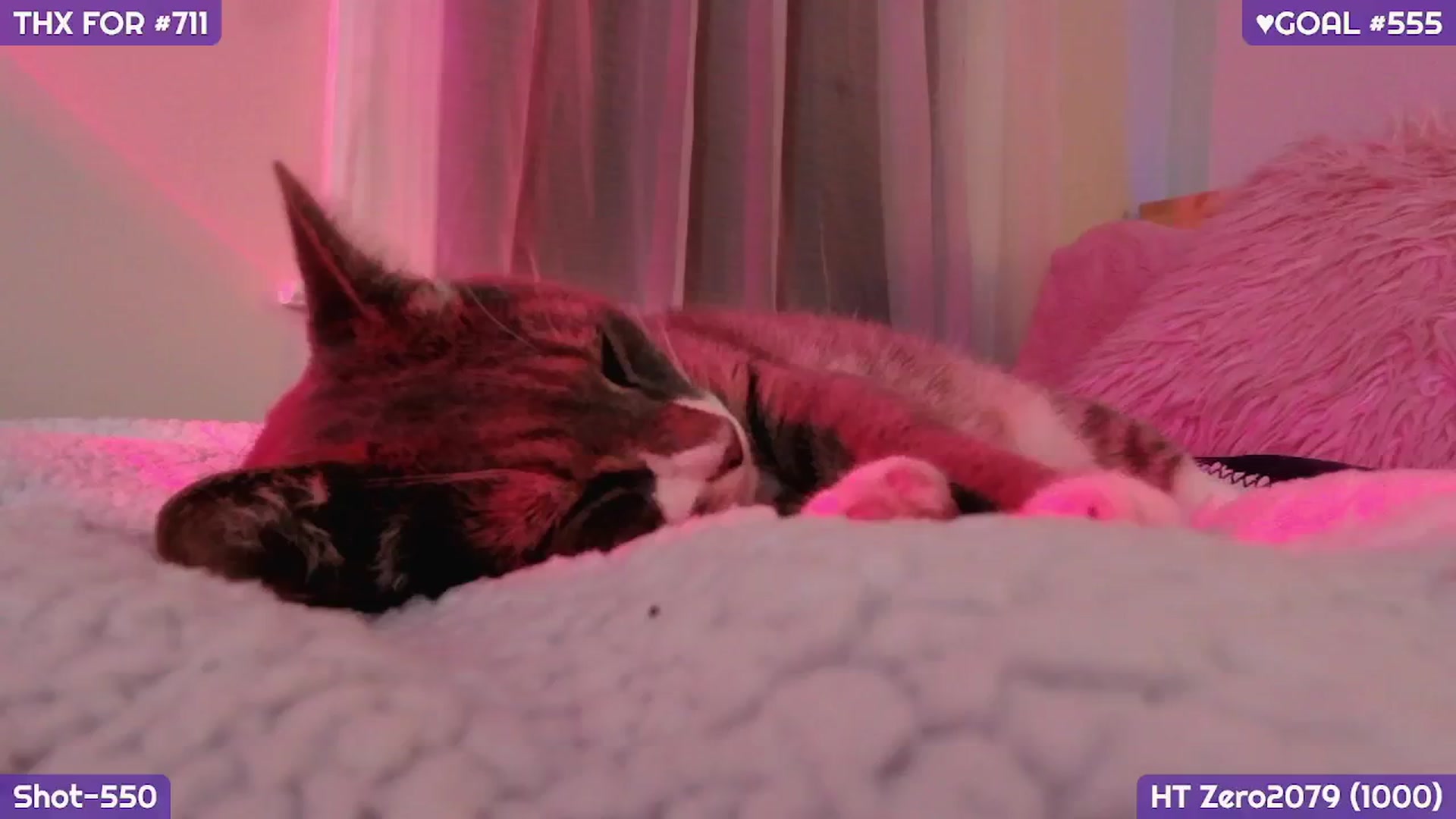 MollySnacks video thumbnail
