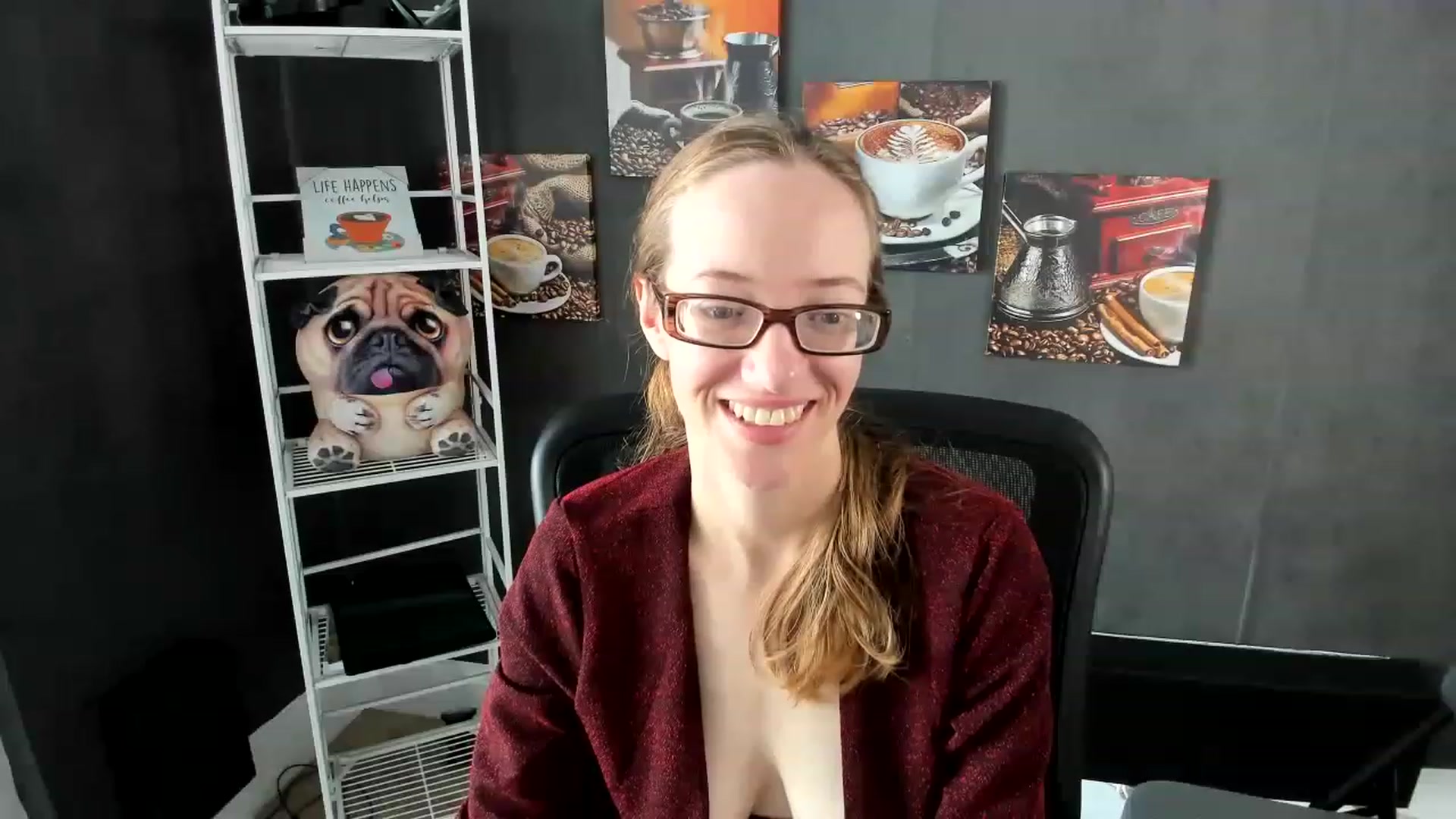 DocDropBear video thumbnail