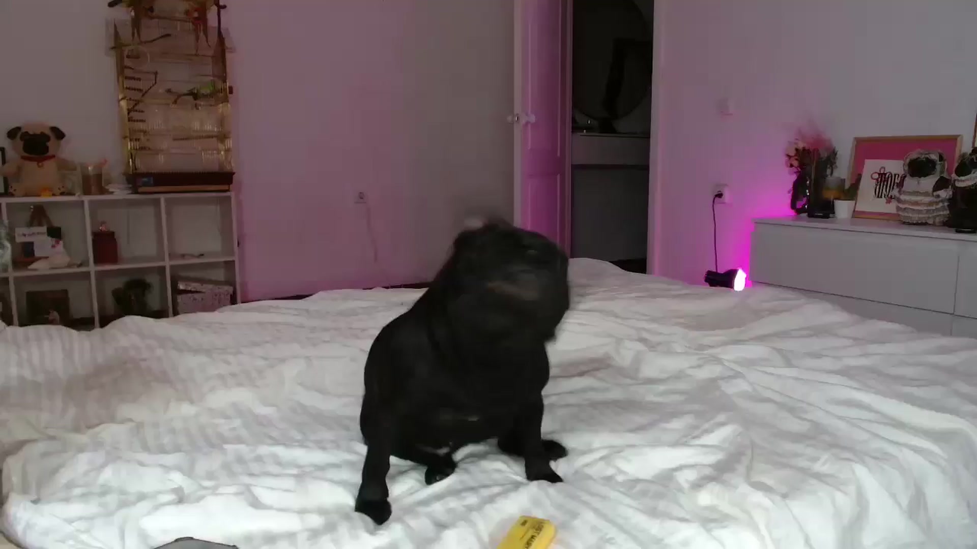 FunnyMinni video thumbnail