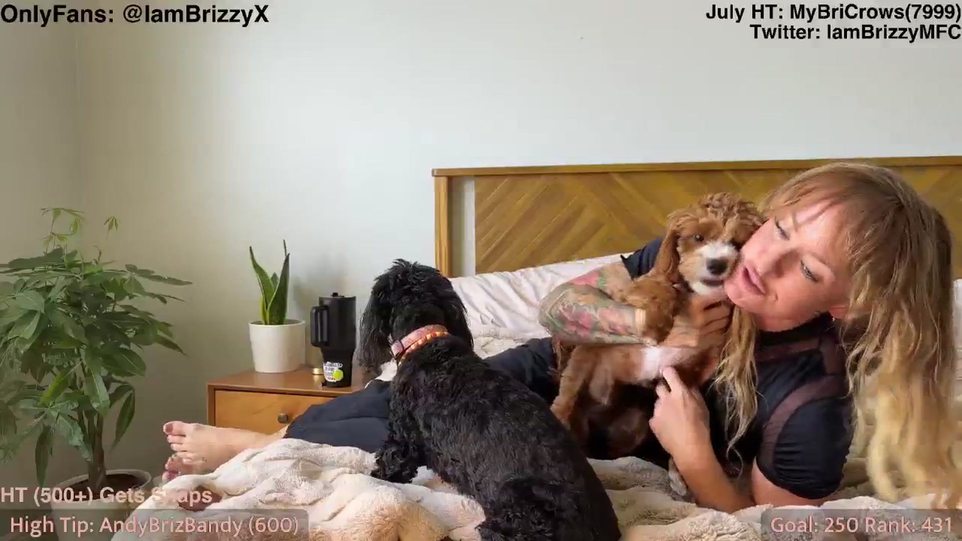 Brizzy video thumbnail