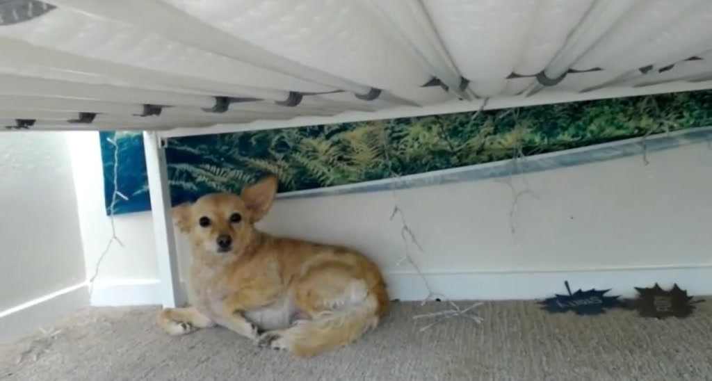 Mira_xo video thumbnail