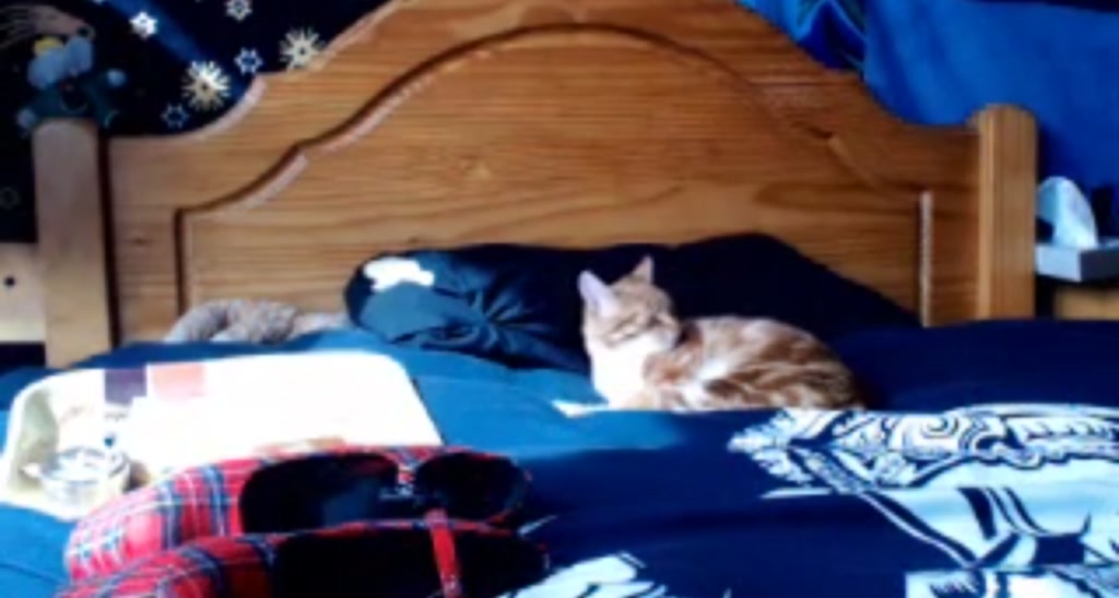 Ambadawnn video thumbnail