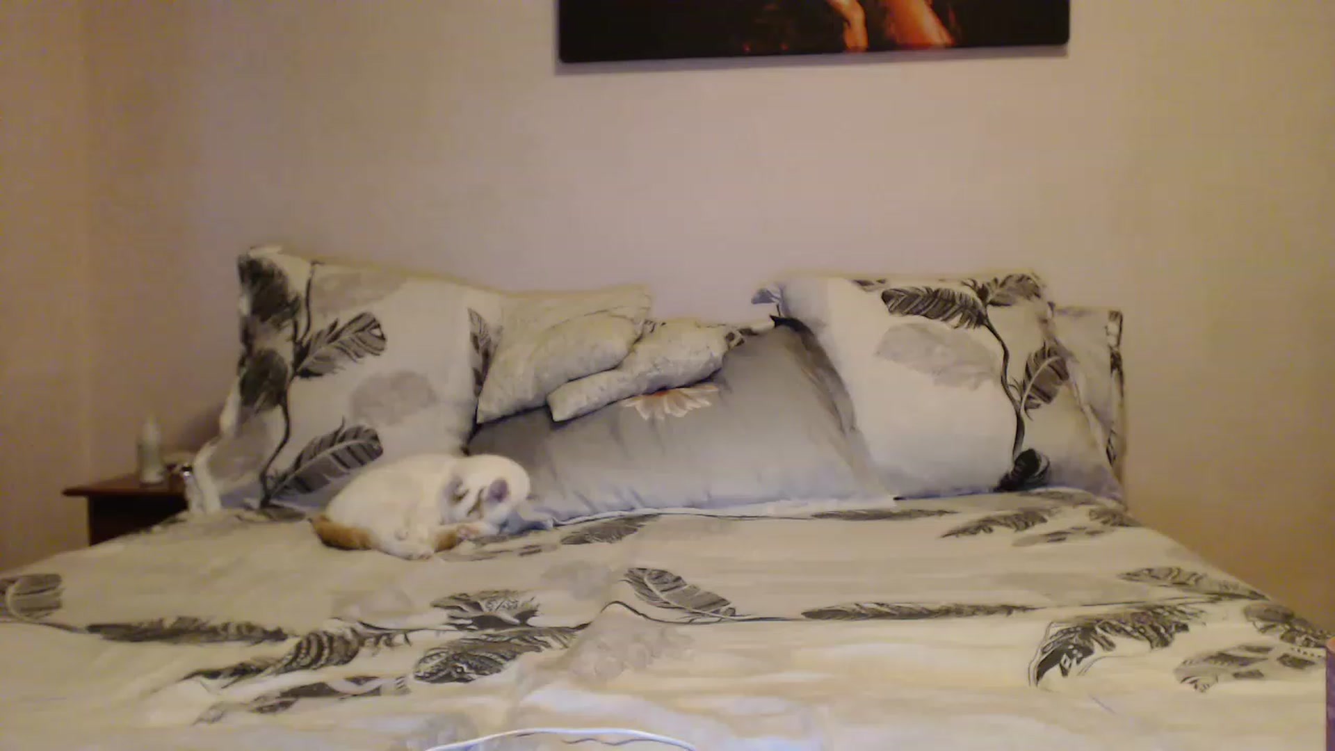 Aahh_Emilia video thumbnail