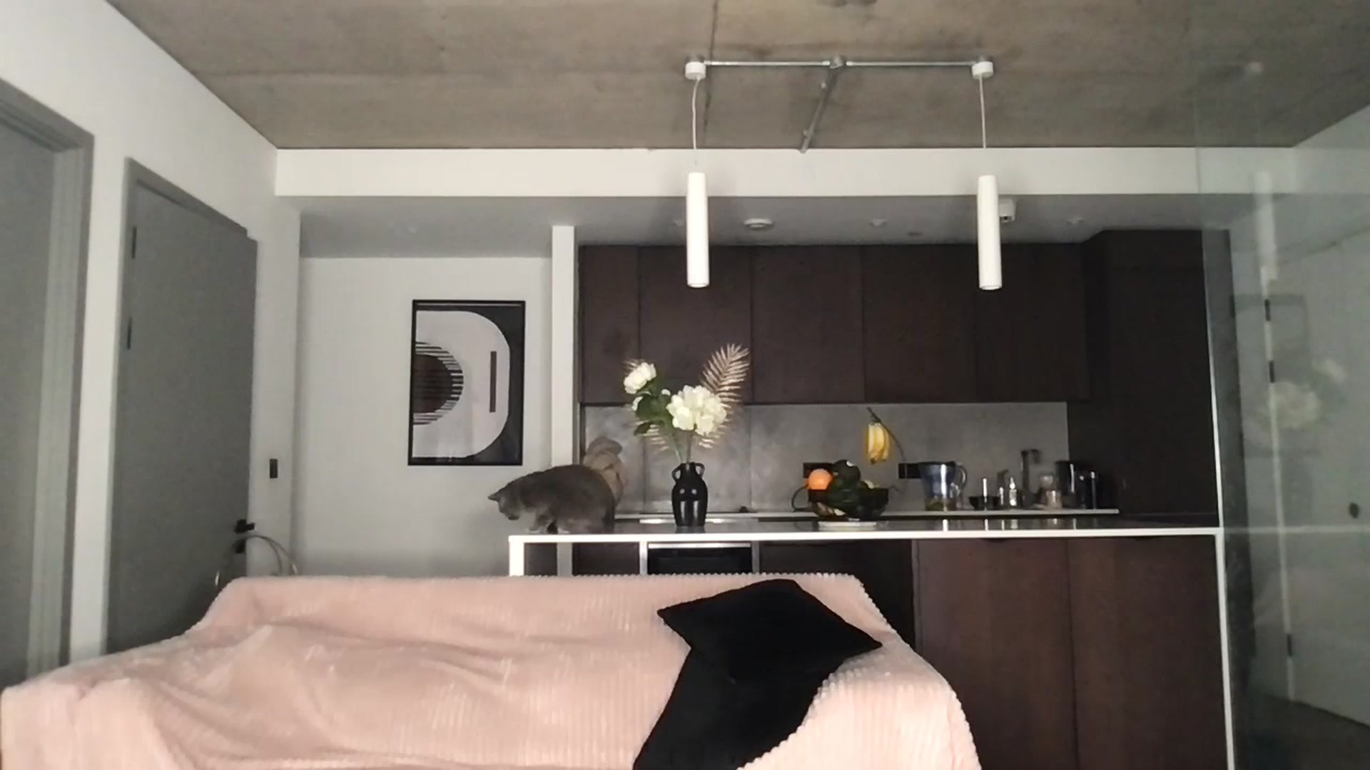 Dreamy_Peach video thumbnail