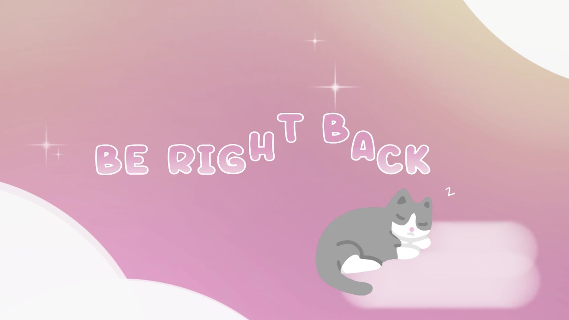 Kitty video thumbnail