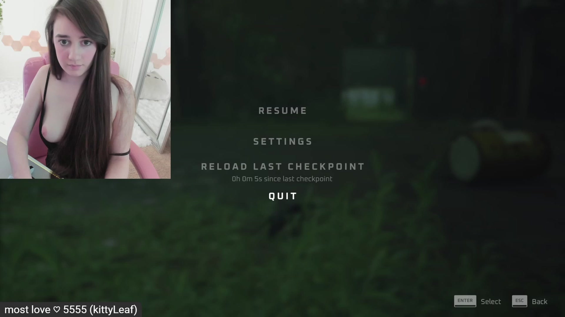 Kitty video thumbnail
