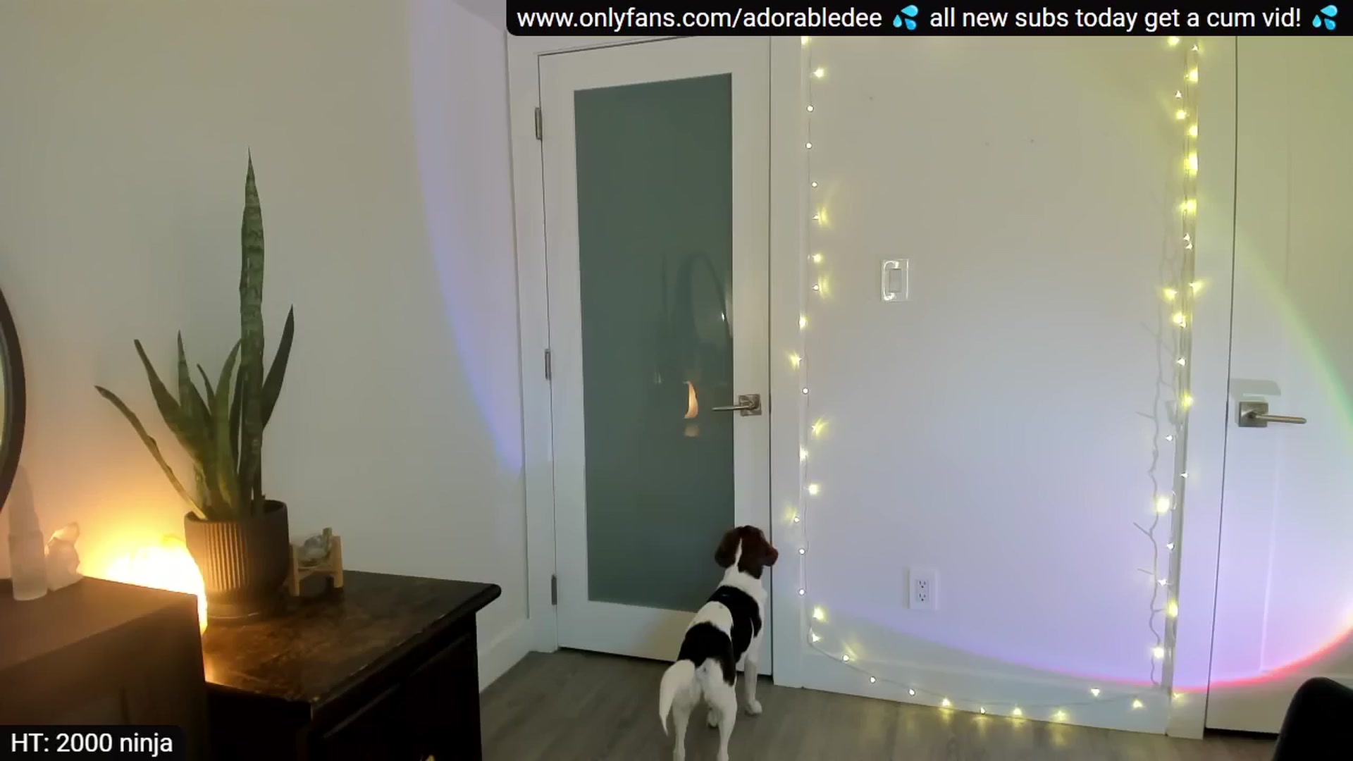 AdorableDee video thumbnail