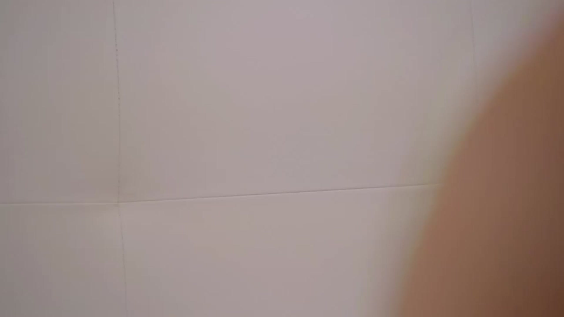 Squirrel_MFC video thumbnail
