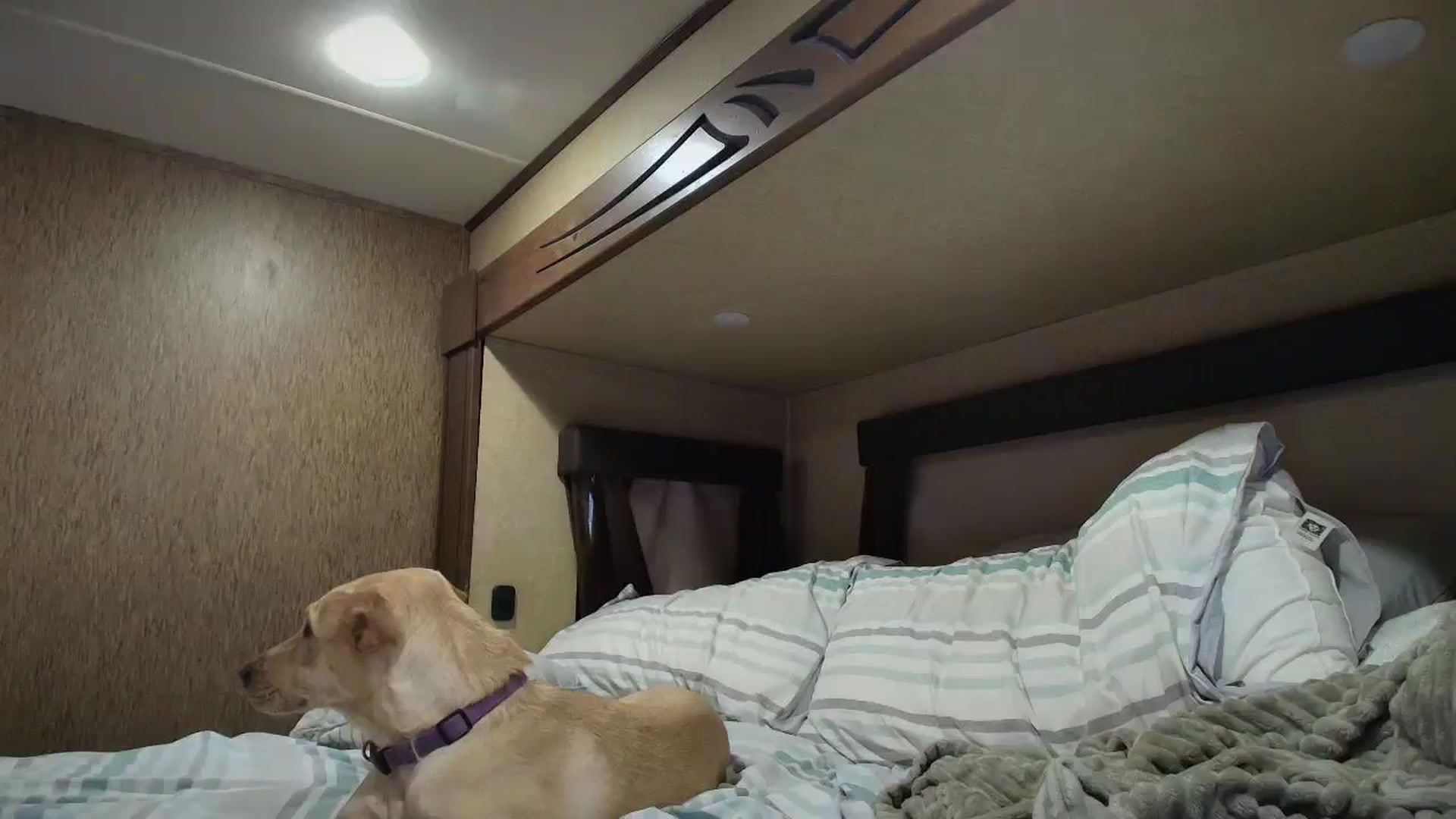 Sammy_gray video thumbnail