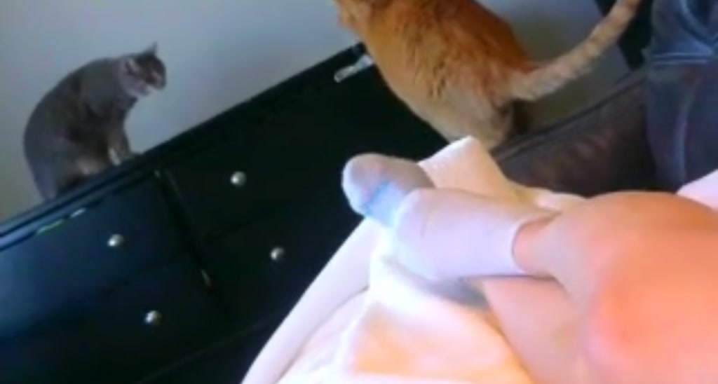 xWildThingx video thumbnail