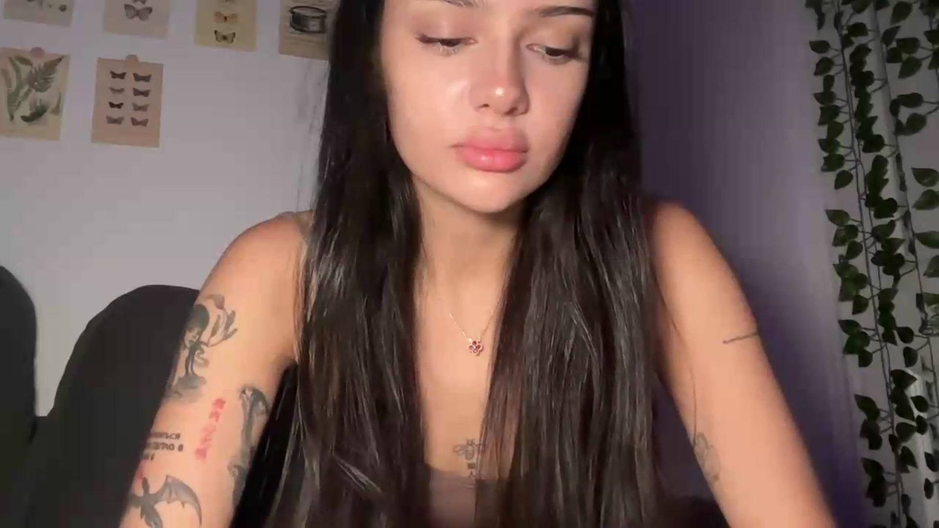 mayflowers video thumbnail