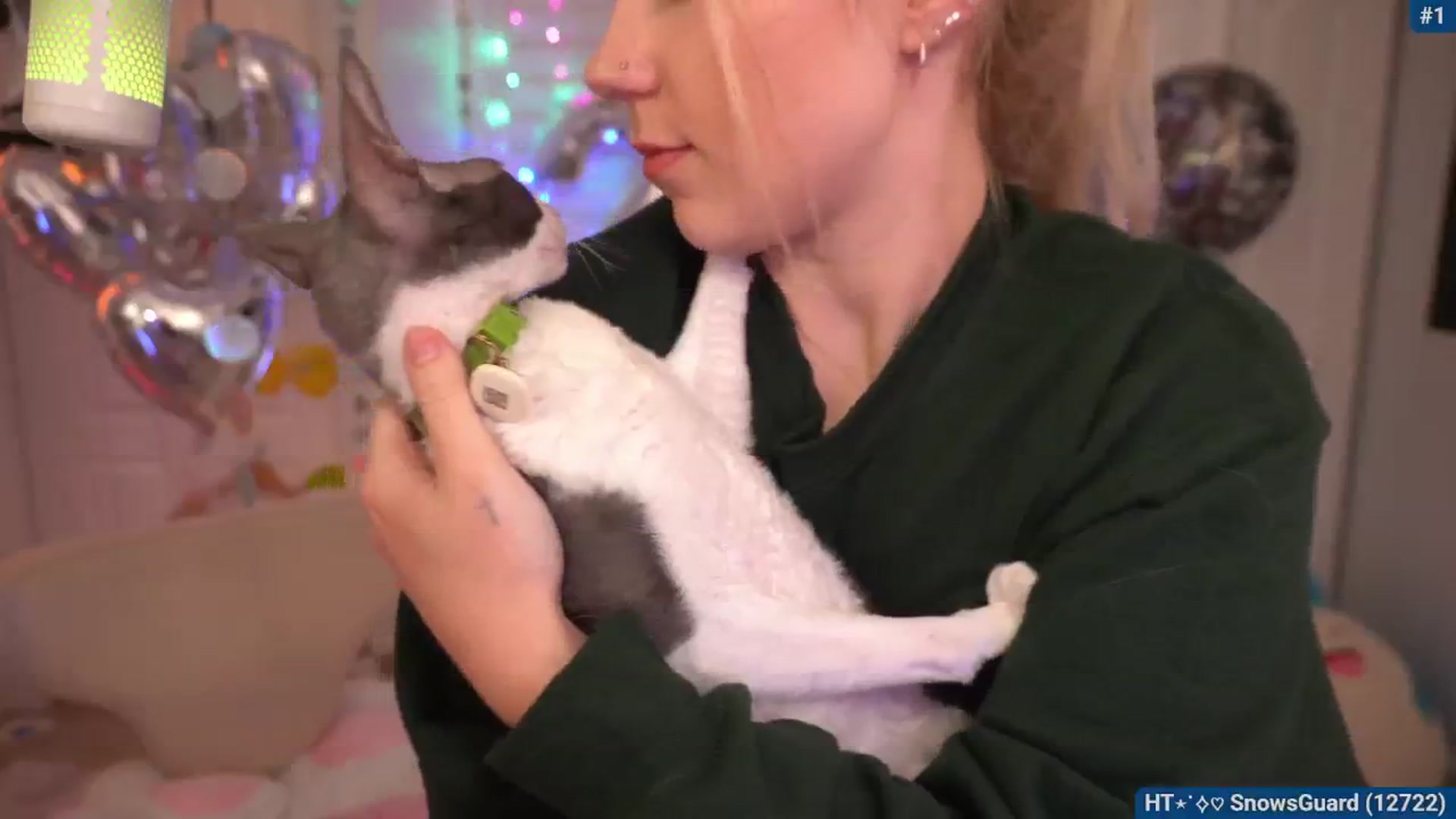 Snowkitty video thumbnail