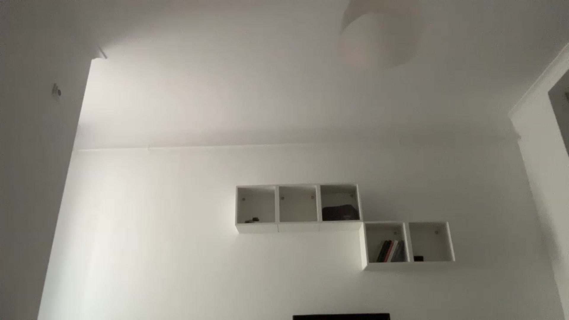 Coconut_dream video thumbnail