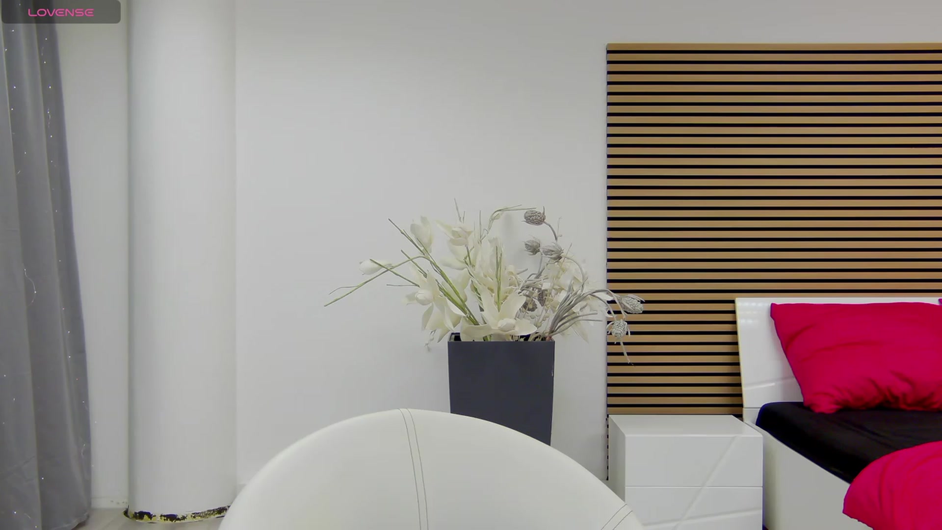 Squirrel_MFC video thumbnail