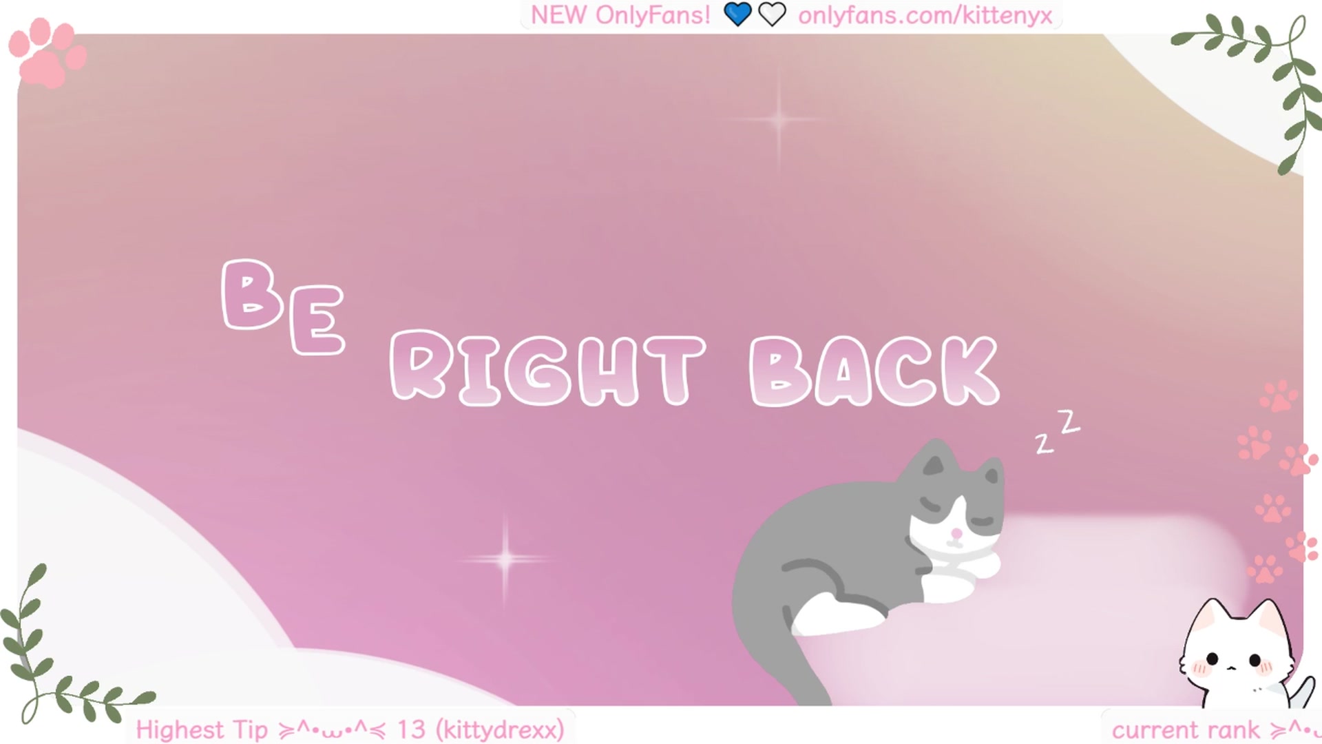 Kittenyx video thumbnail