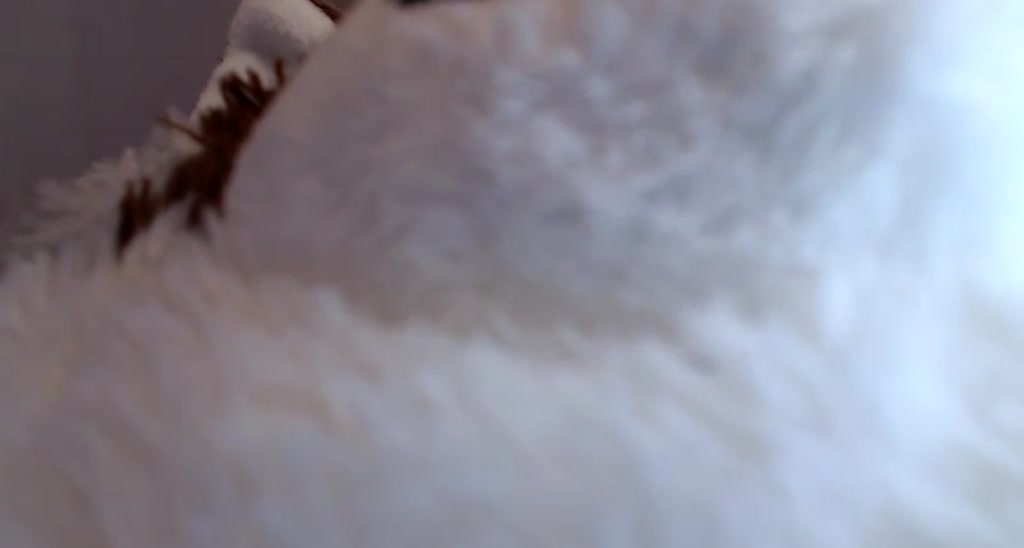 CuteVera95 video thumbnail