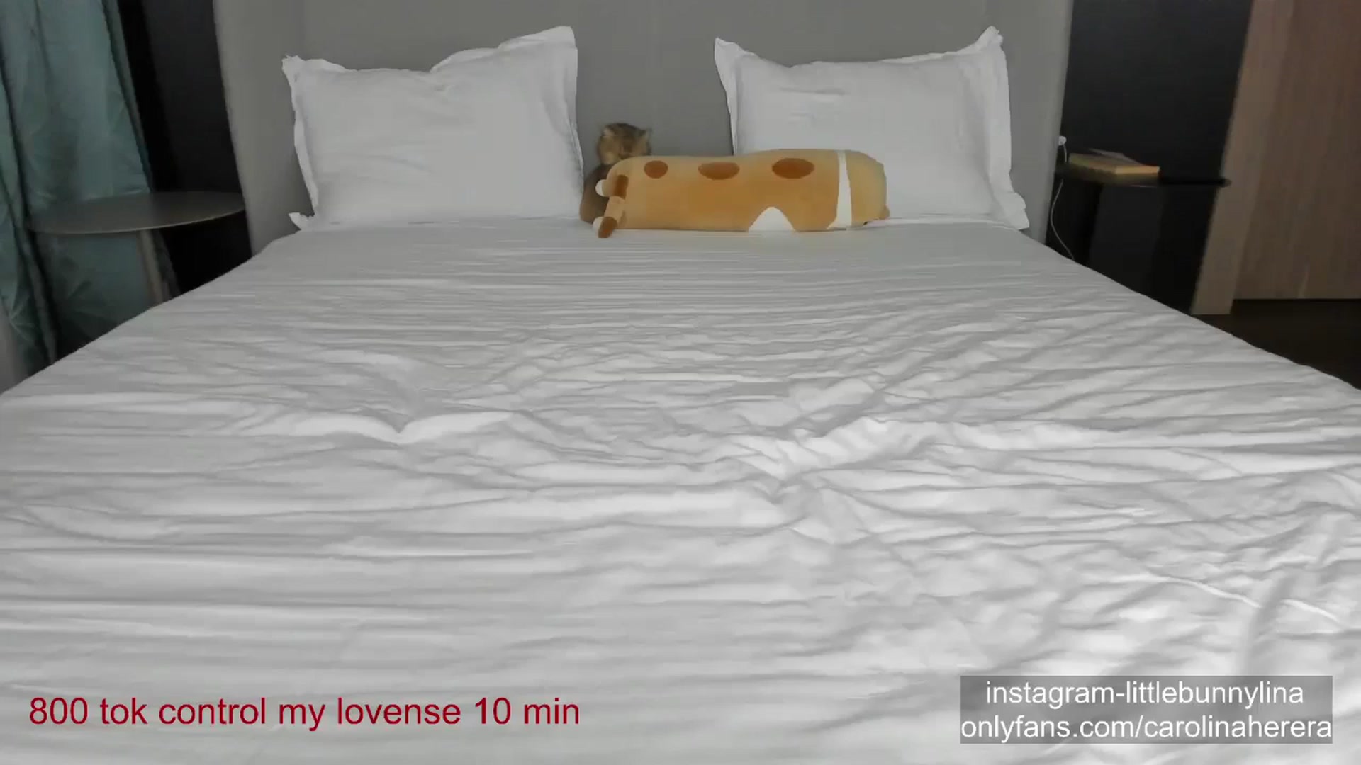 CarolinaHerer video thumbnail
