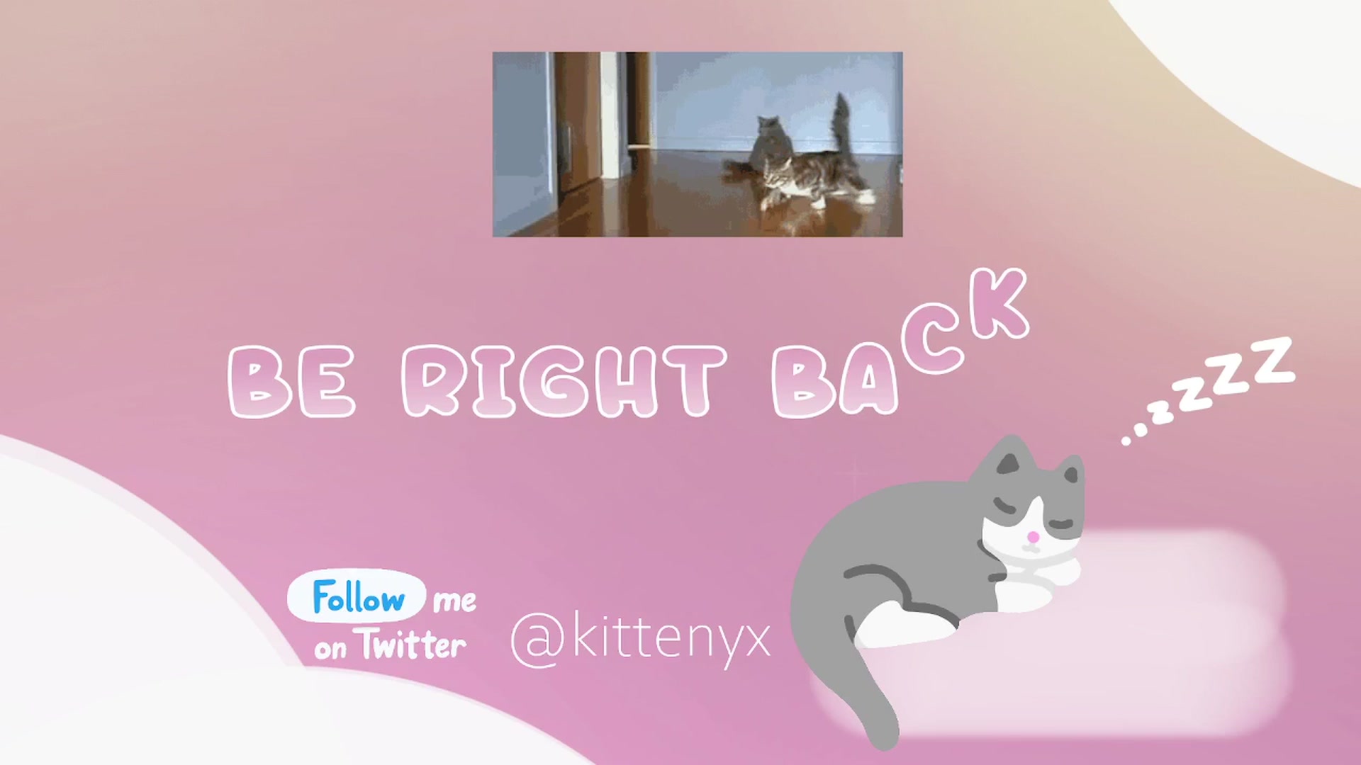 Kittenyx video thumbnail