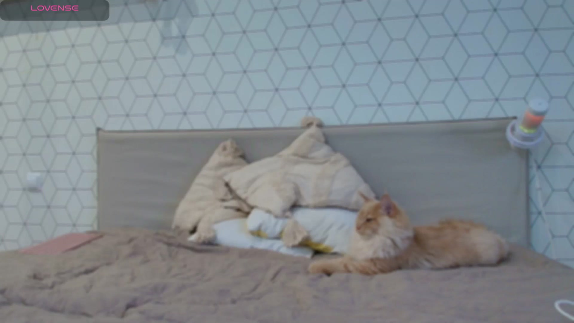 KatyaFods video thumbnail