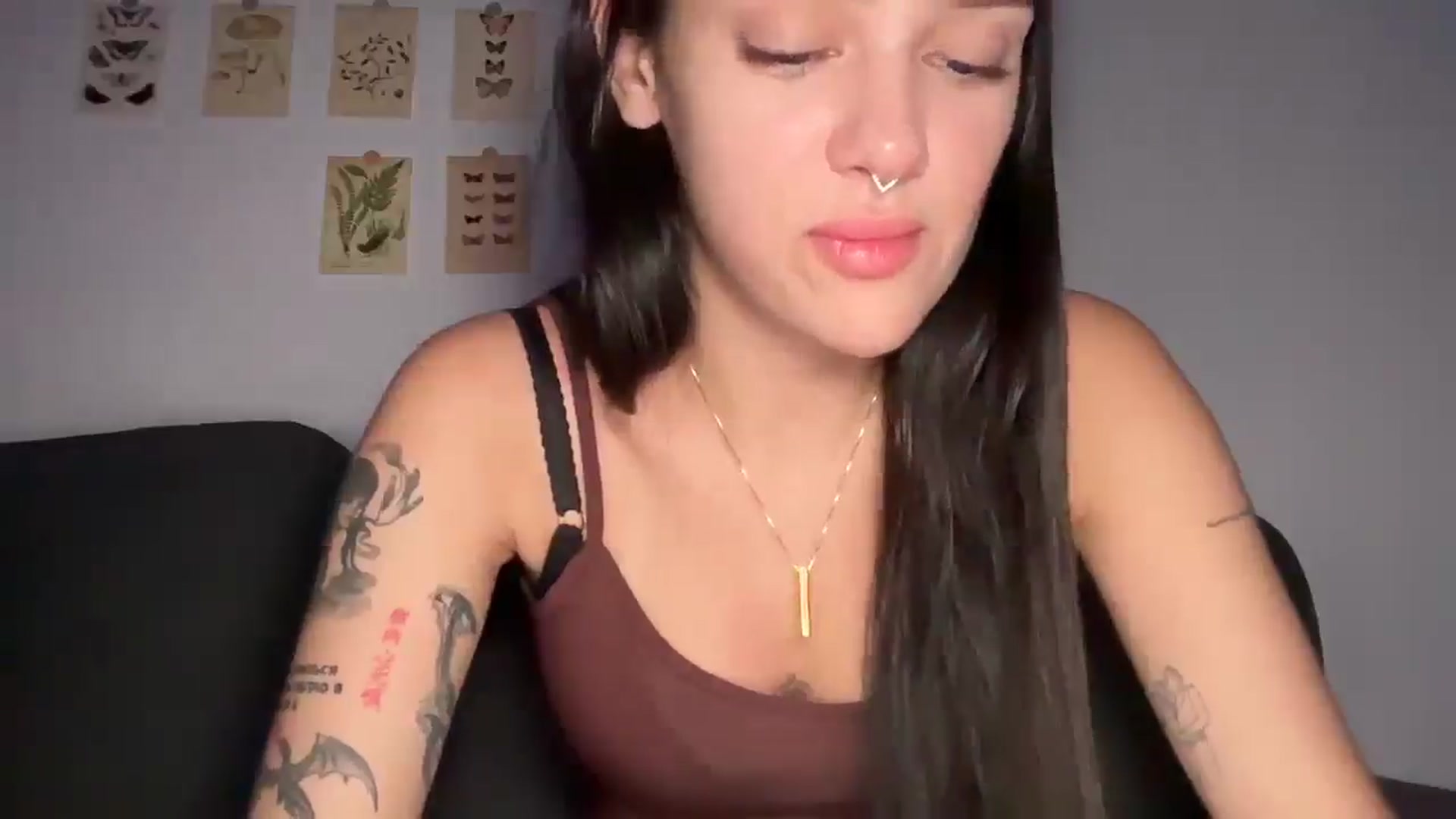 mayflowers video thumbnail