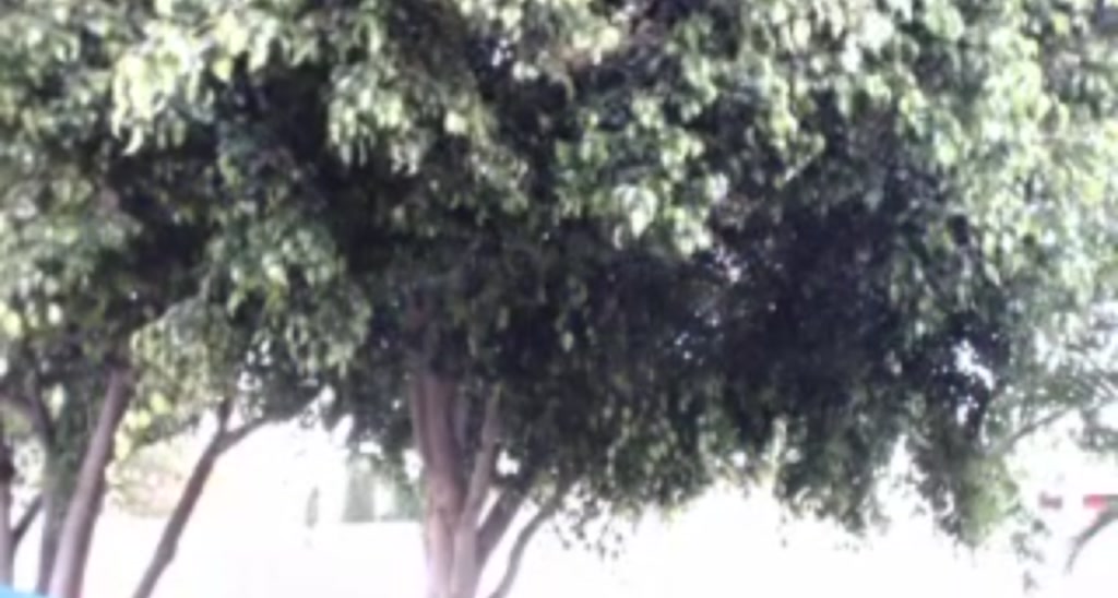 QuinnLive video thumbnail