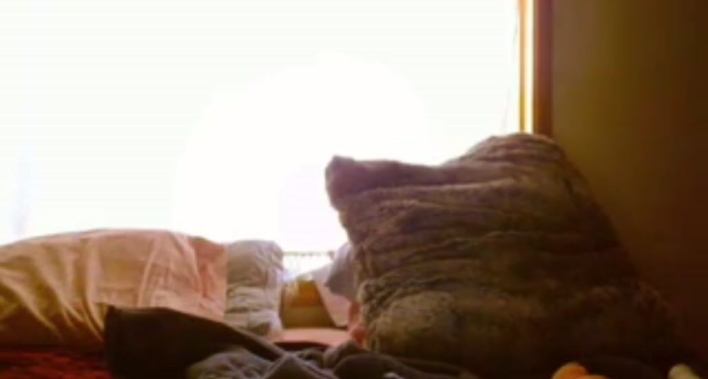 adrey_ video thumbnail