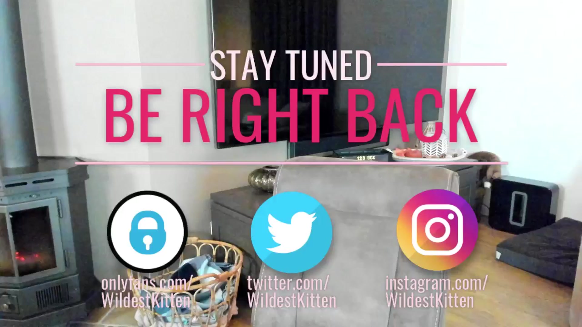 WildestKitten video thumbnail