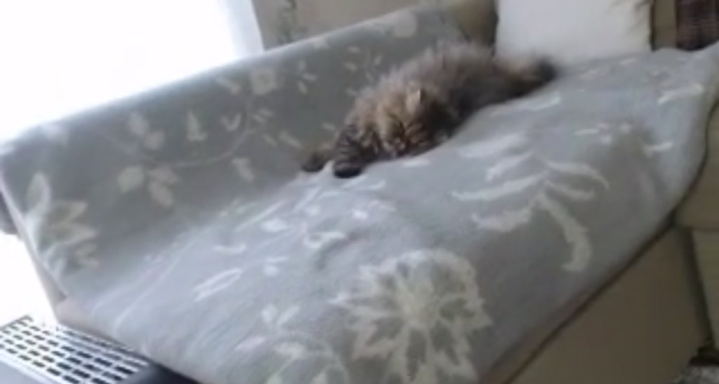 MissReinaT video thumbnail