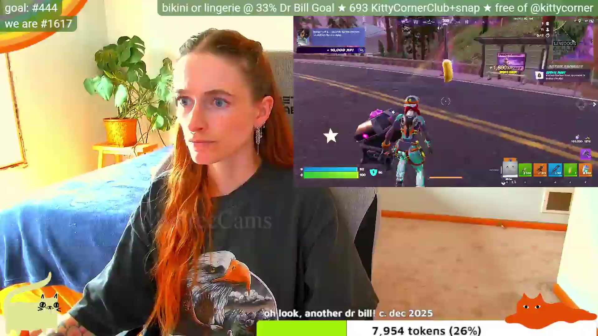 KittyCorner video thumbnail