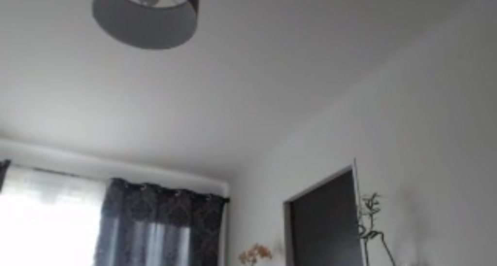 BeeCurious video thumbnail