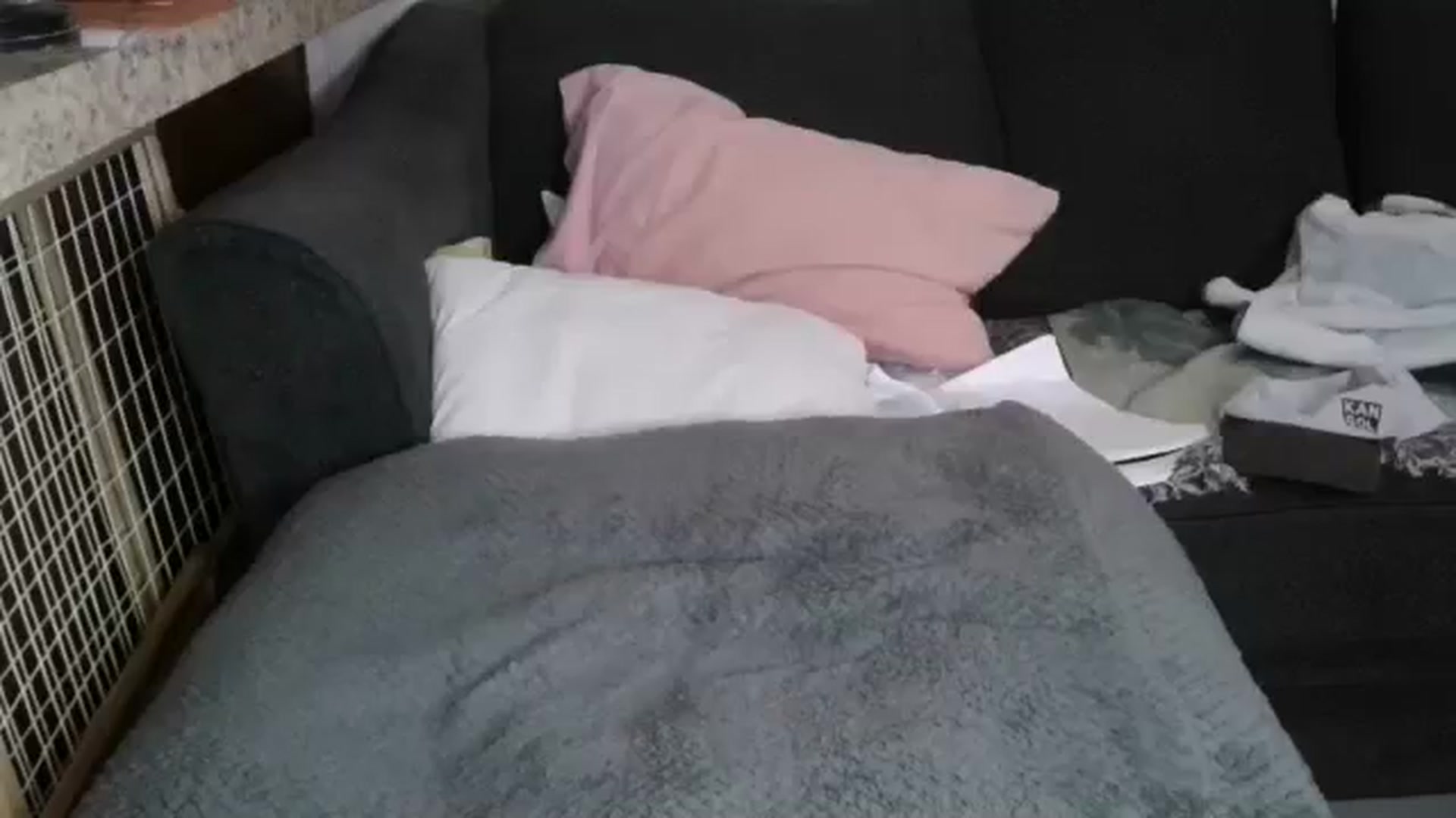 Sofieyoungxxx video thumbnail