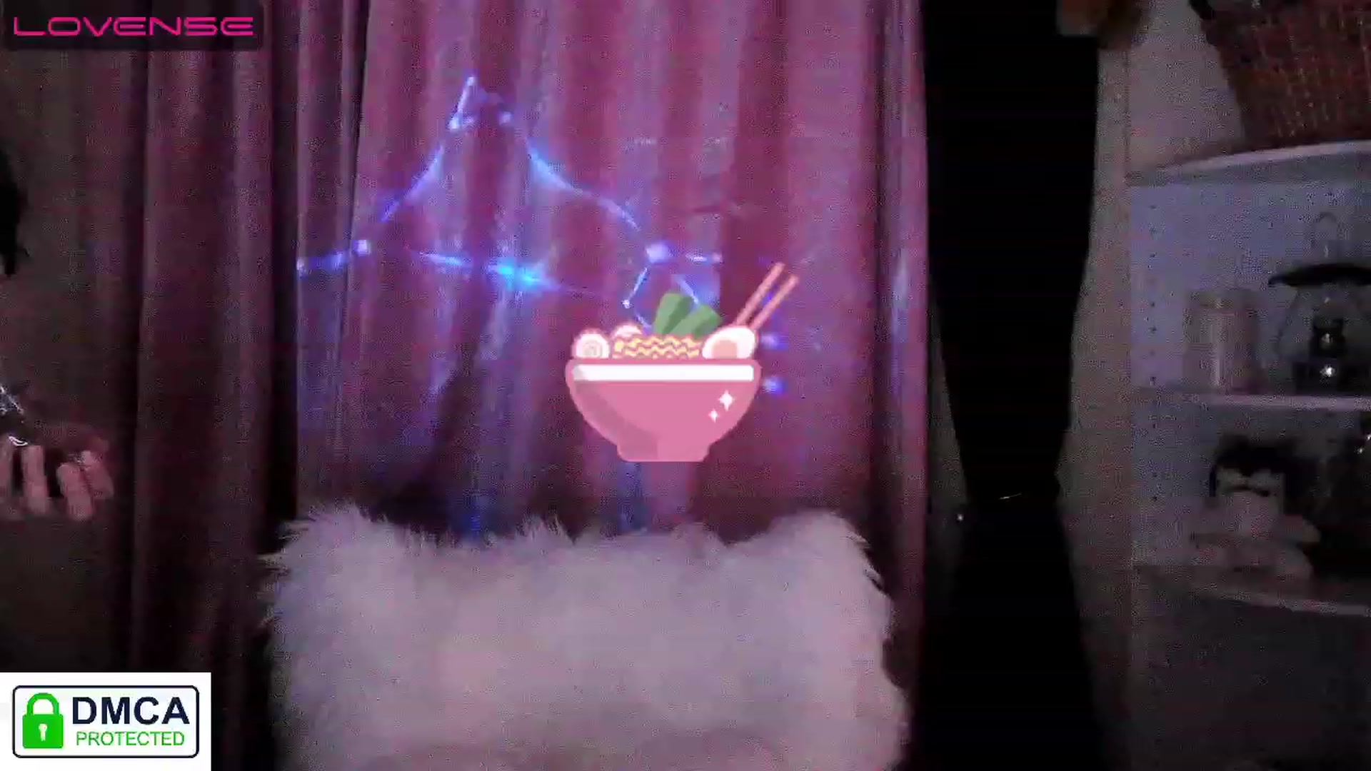 meowwild video thumbnail