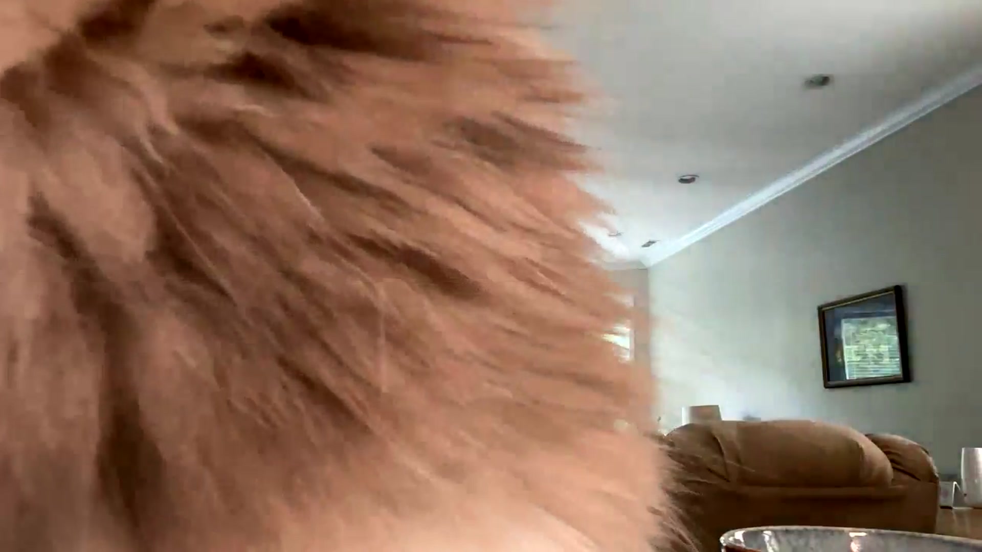 violishh video thumbnail