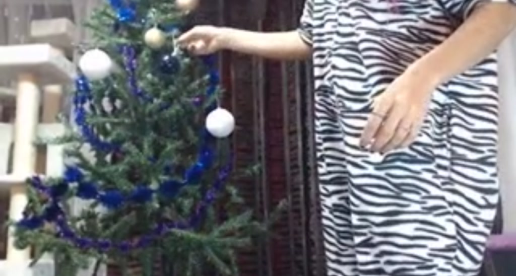 sisigrlsquirt video thumbnail