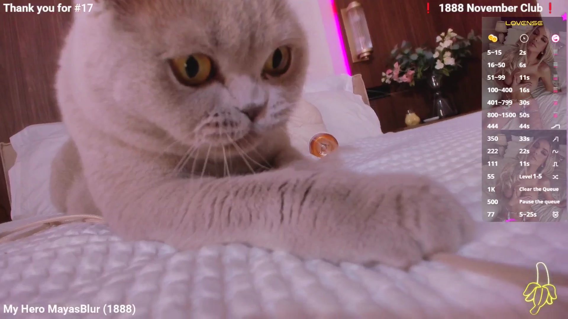 MayaDi_ video thumbnail
