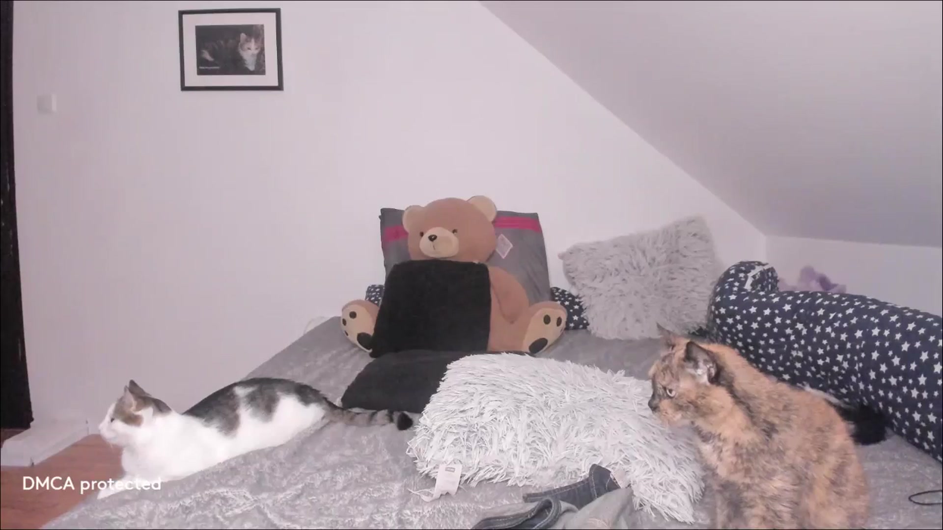 Deessert video thumbnail