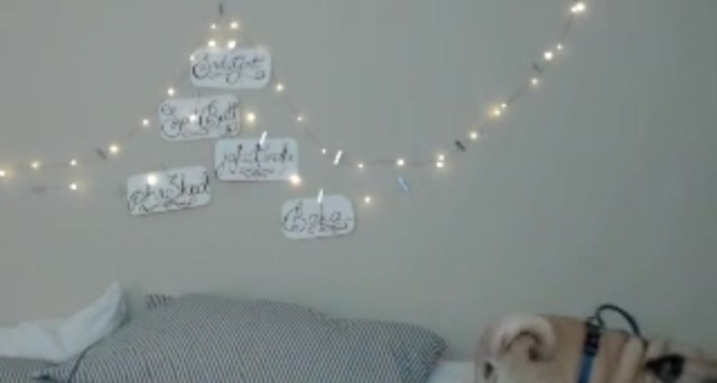 AlexaPond video thumbnail
