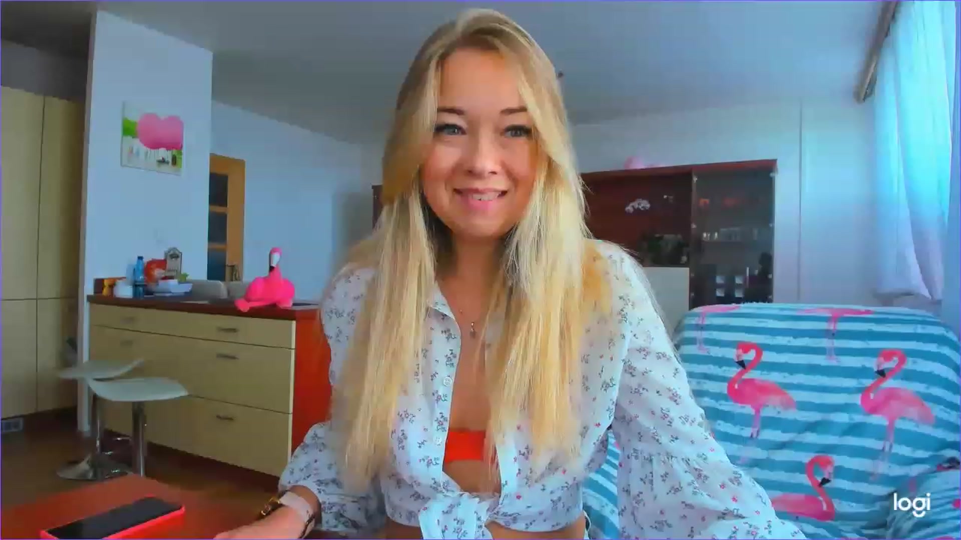 FlamingoDream video thumbnail
