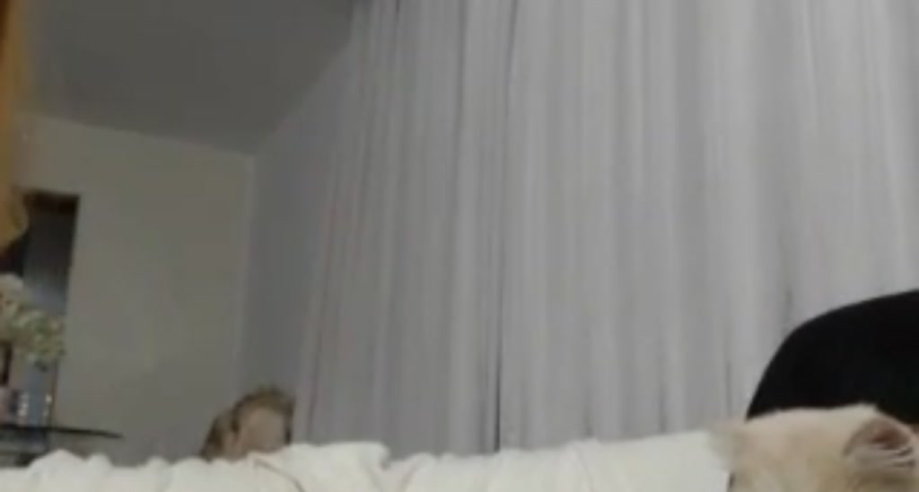 BibiJolie video thumbnail