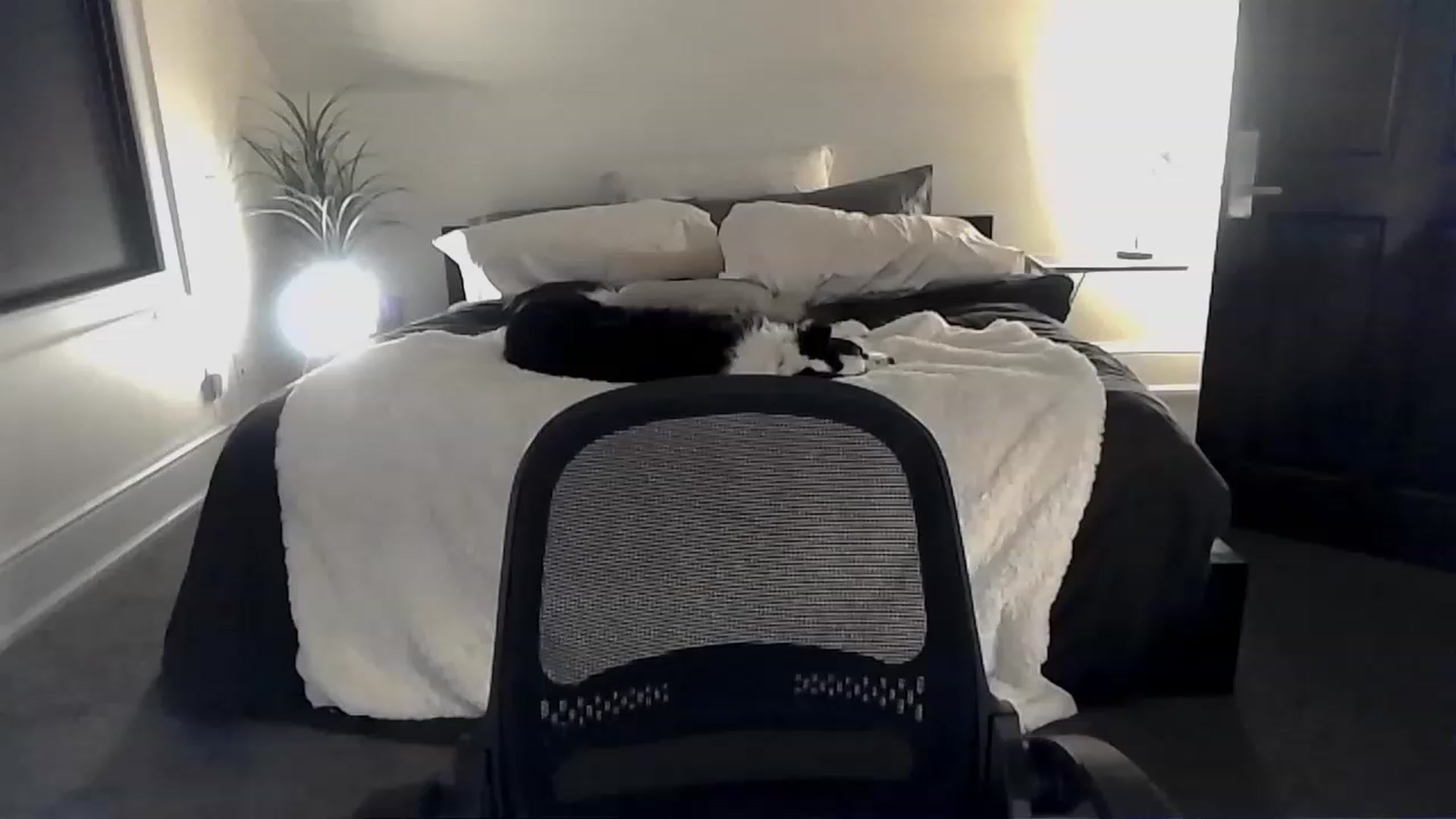xx_scarlett video thumbnail