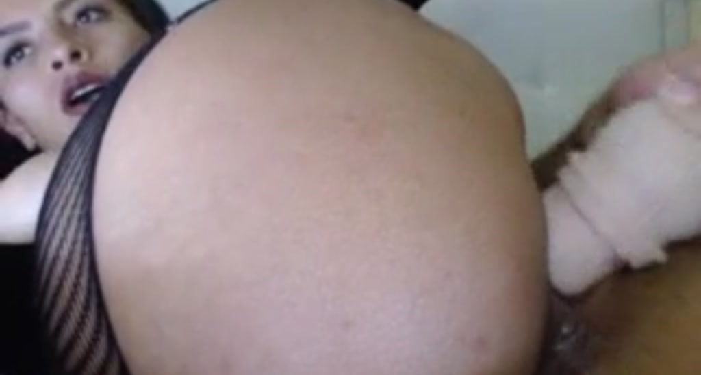 Canelatinax video thumbnail