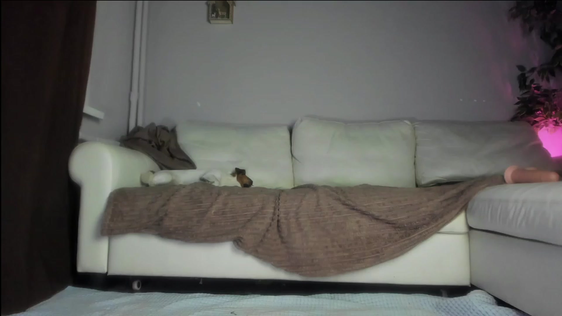 Littlewetgirl video thumbnail