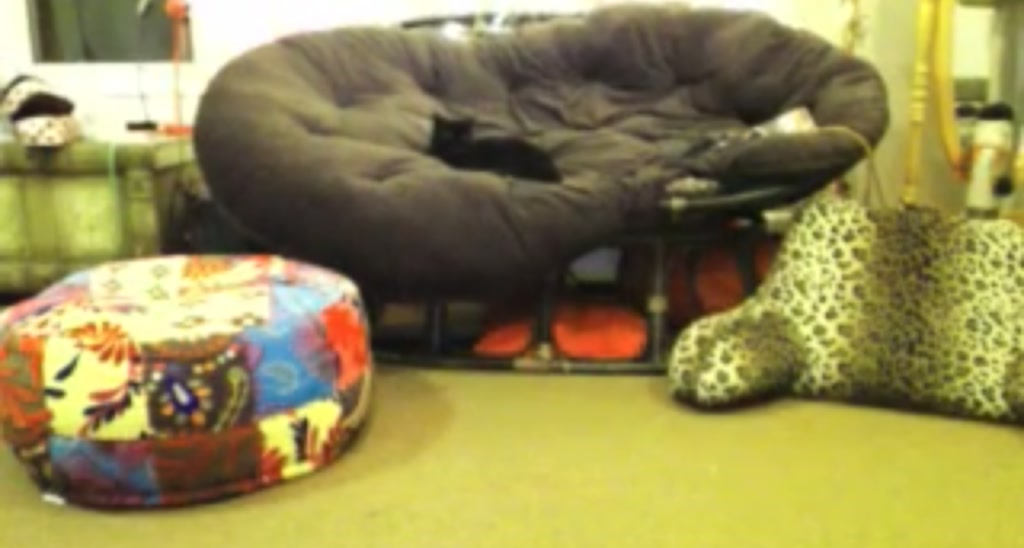 Tinycammer video thumbnail