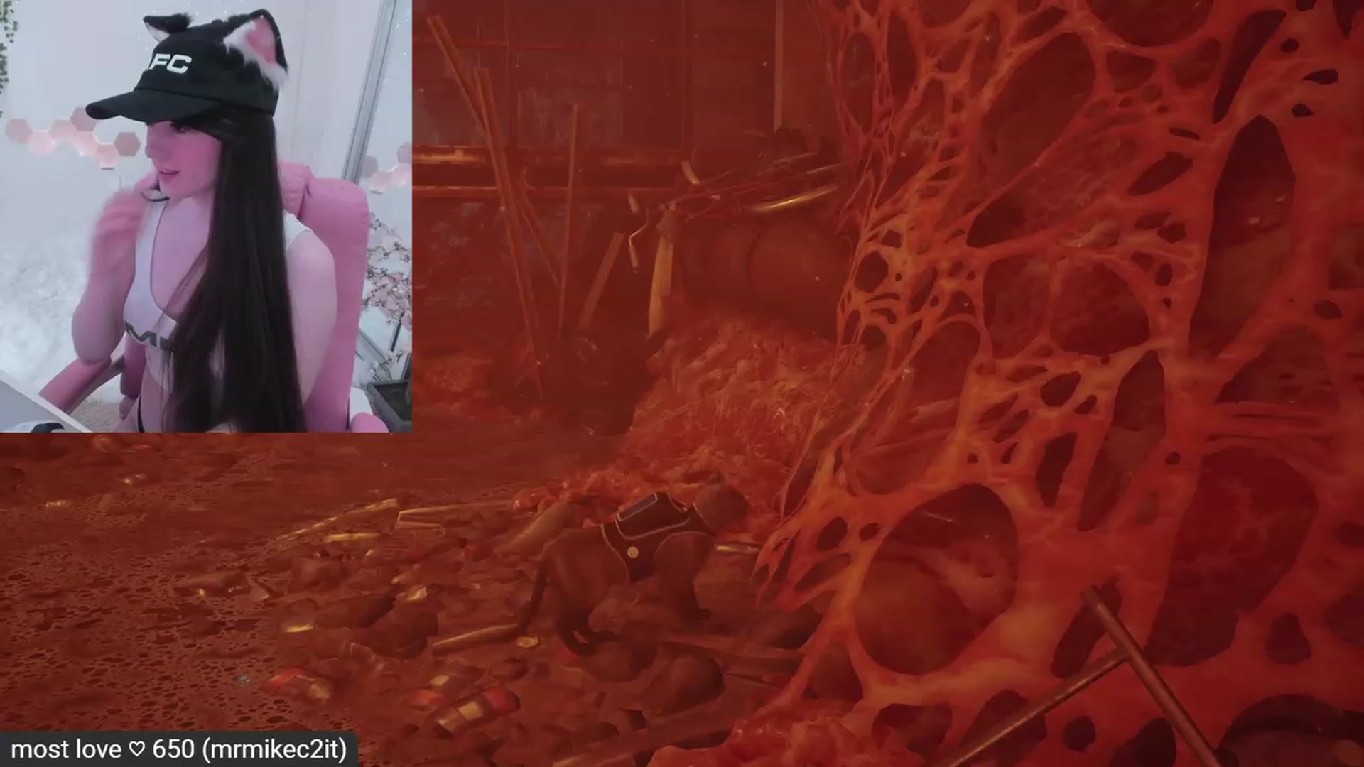 Kitty video thumbnail