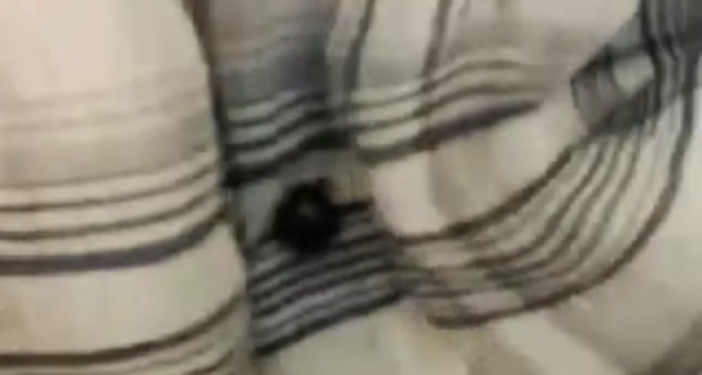 XxMayuka video thumbnail