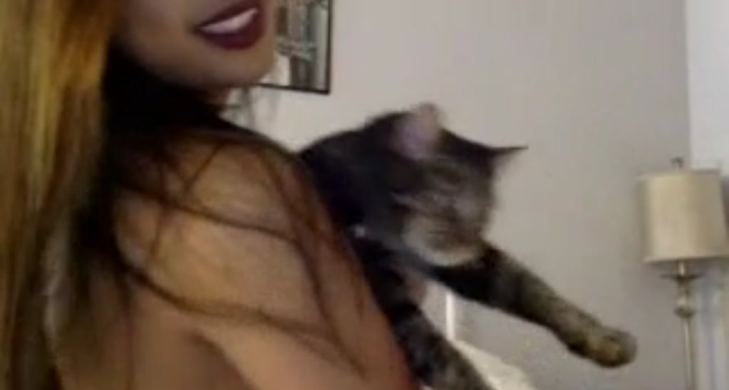 EVA_KITTEN video thumbnail