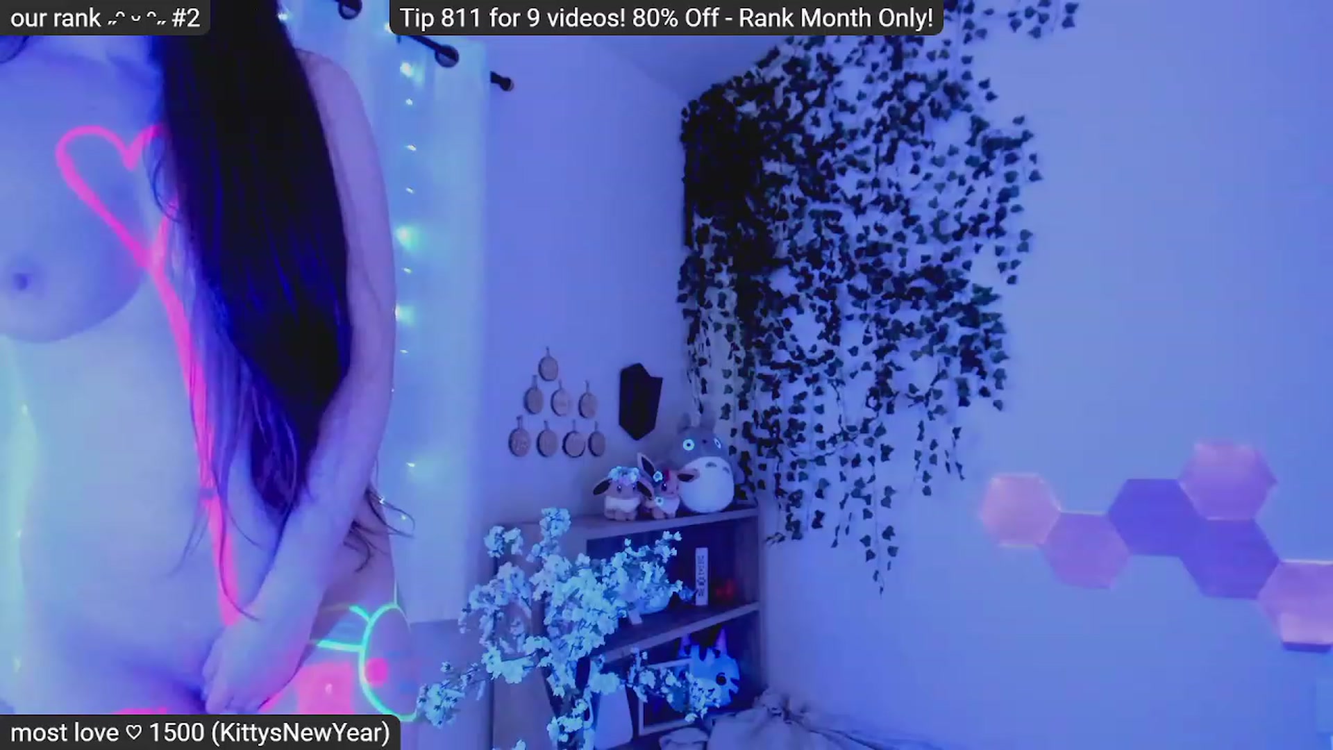 Kitty video thumbnail